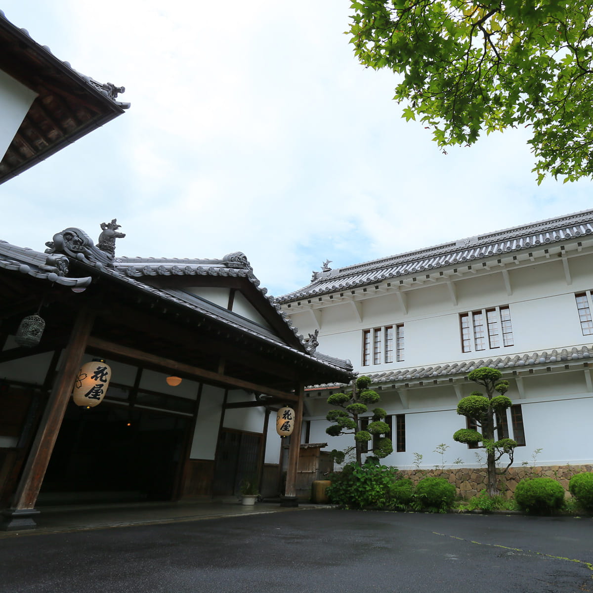 花屋直営店　居酒屋　花結び